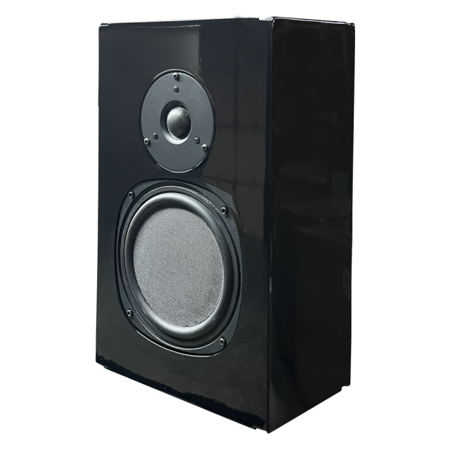 PhaseTech Premier Lux 6.5” 2-Way On-Wall Surround – Gloss Black